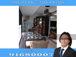 Blk 138B The Peak @ Toa Payoh (Toa Payoh), HDB 5 Rooms #143359422